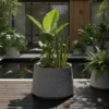 planter pot tanaman magnolia 40 ellogrin