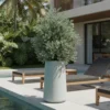Planter Pot Tanaman Magnolia 90