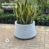 Pot Tanaman Self Watering