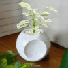 pot tanaman multifungsi wormery