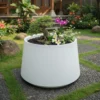 planter pot tanaman magnolia 50