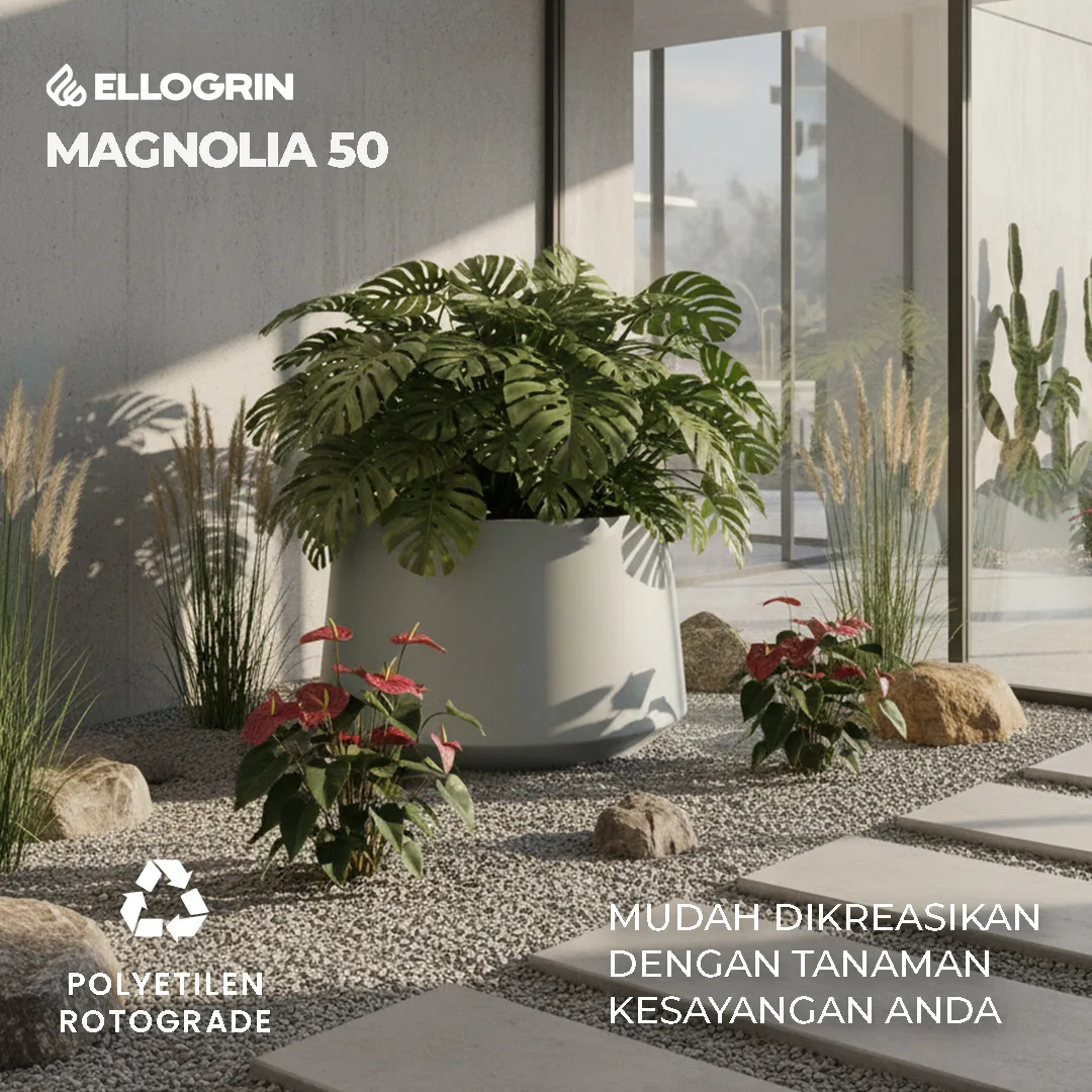 Pot Tanaman Besar Magnolia 50 - Gambar 3