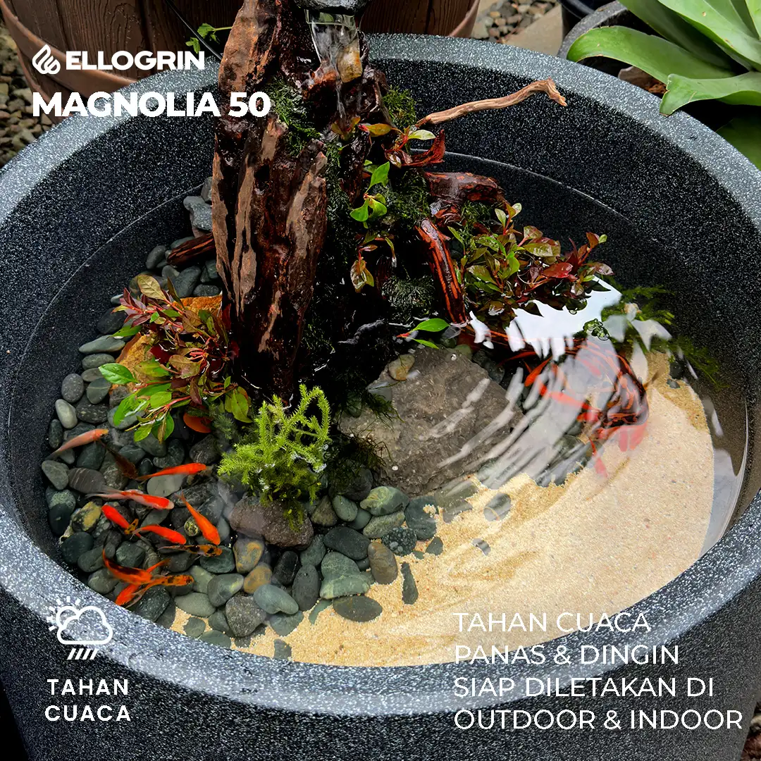 Pot Tanaman Besar Magnolia 50 - Gambar 7