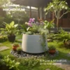 Pot Tanaman Besar Magnolia 50 - Thumbnail Image 5