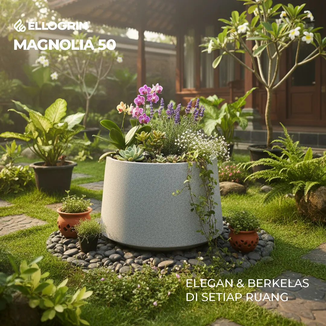 Pot Tanaman Besar Magnolia 50 - Gambar 5