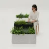 Planter Pot Tanaman Magnolia Long Ellogrin