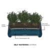 keuntungan pot self watering