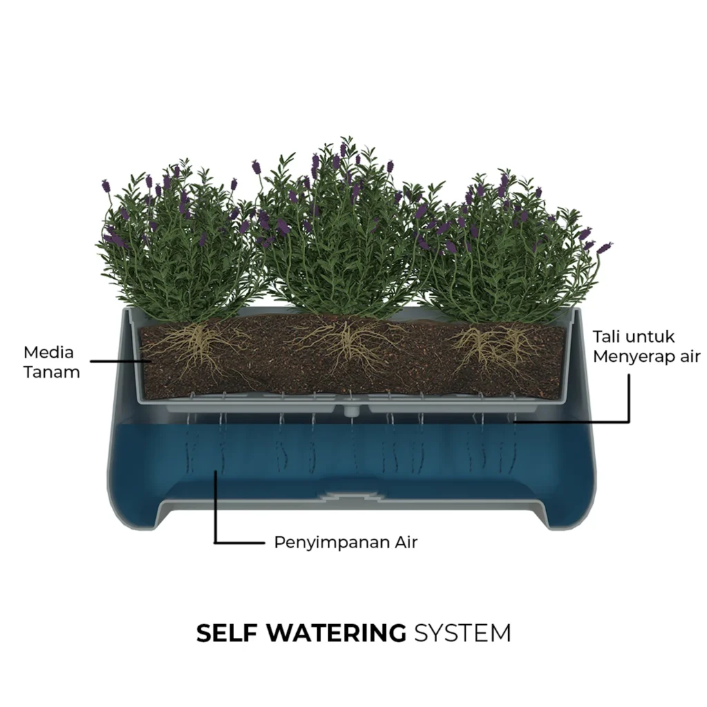 keuntungan pot self watering