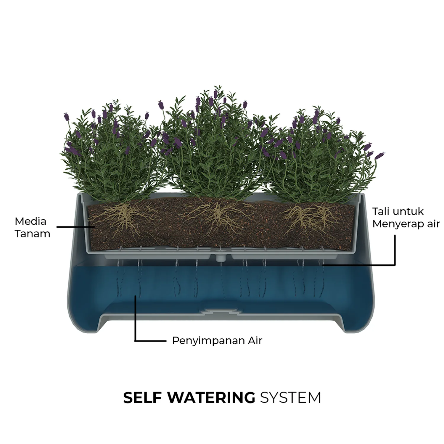 keuntungan pot self watering