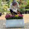 Pot Tanaman Panjang Magnolia Long Ellogrin