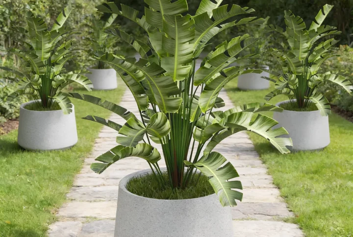 Pot Tamanan Magnolia 50
