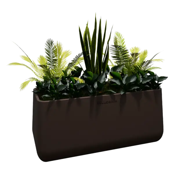 Planter Pot Tanaman Magnolia Long Ellogrin