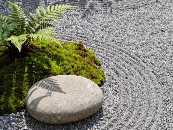 lumut zen garden